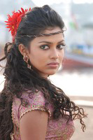 Amala Paul Latest Photos